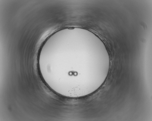 X0000113180293200909181859