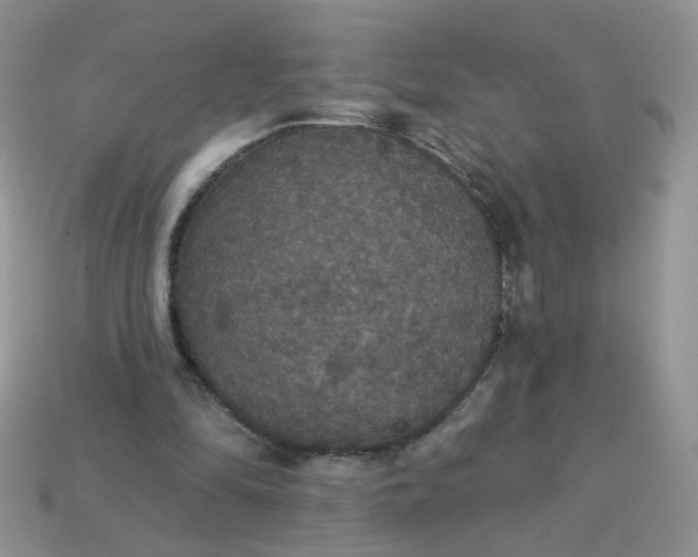 X0000113180294200909181859