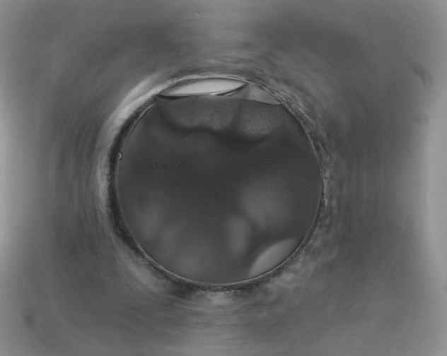 X0000113180295200909181859