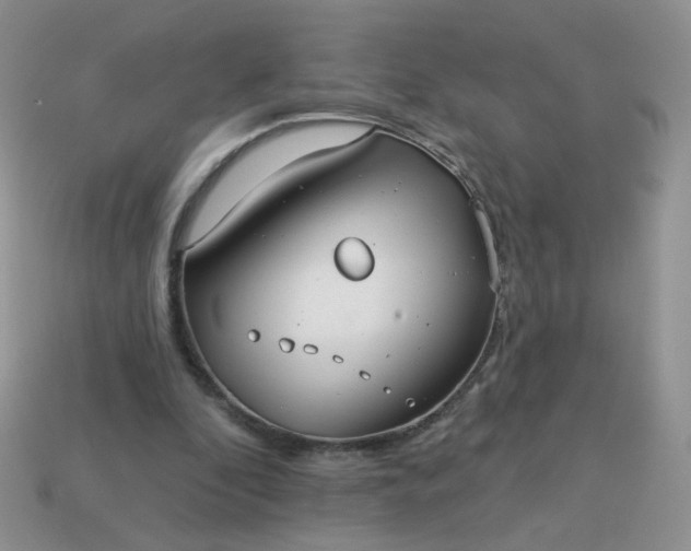 X0000113180296200909181859