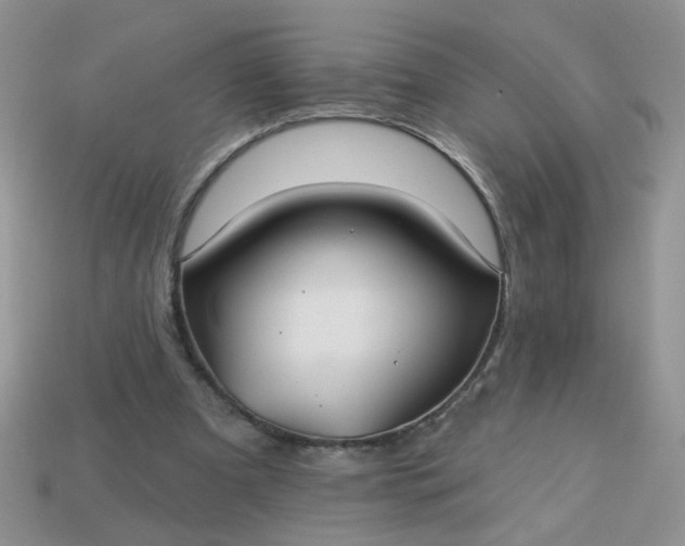 X0000113180297200909181859