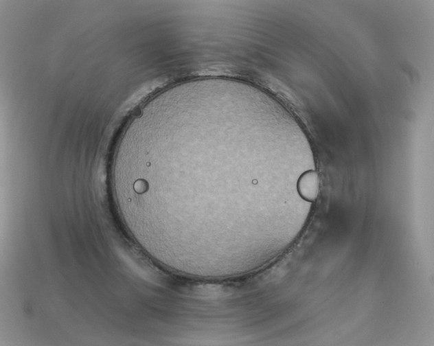 X0000113180298200909181859