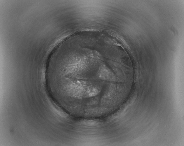 X0000113180299200909181859