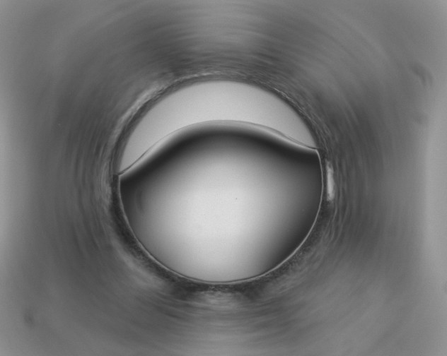 X0000113180300200909181859