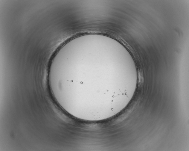 X0000113180301200909181859