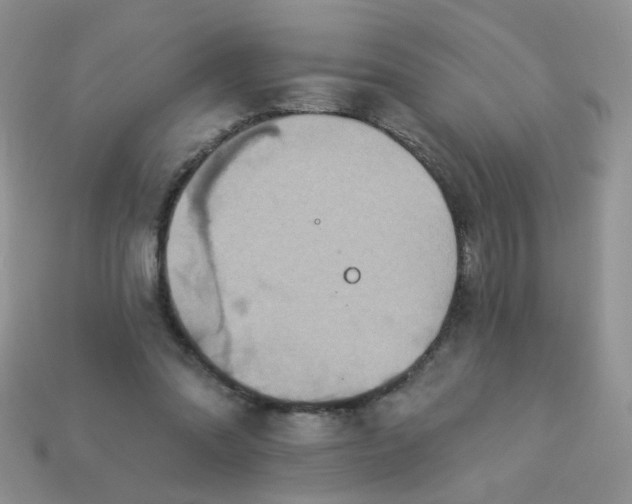 X0000113180302200909181859