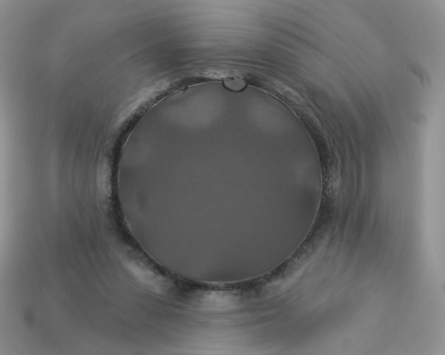 X0000113180303200909181859