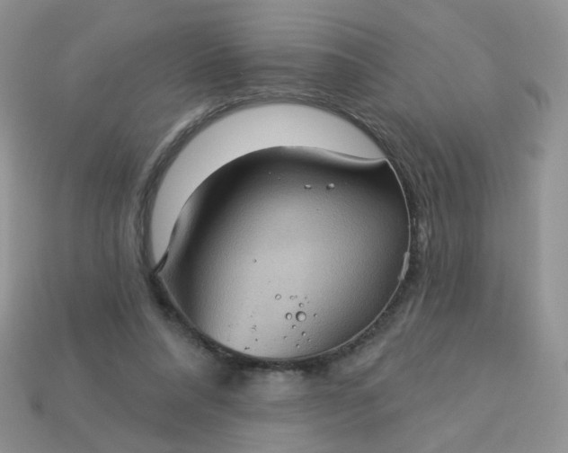 X0000113180304200909181859