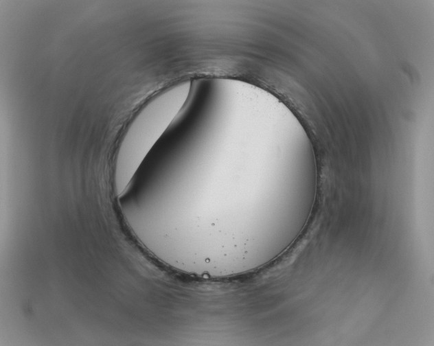 X0000113180305200909181859