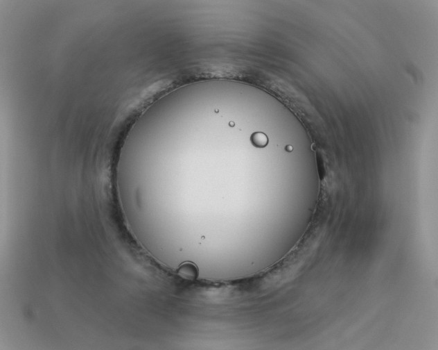 X0000113180306200909181859