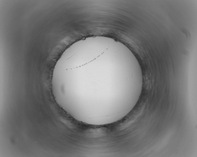 X0000113180307200909181859