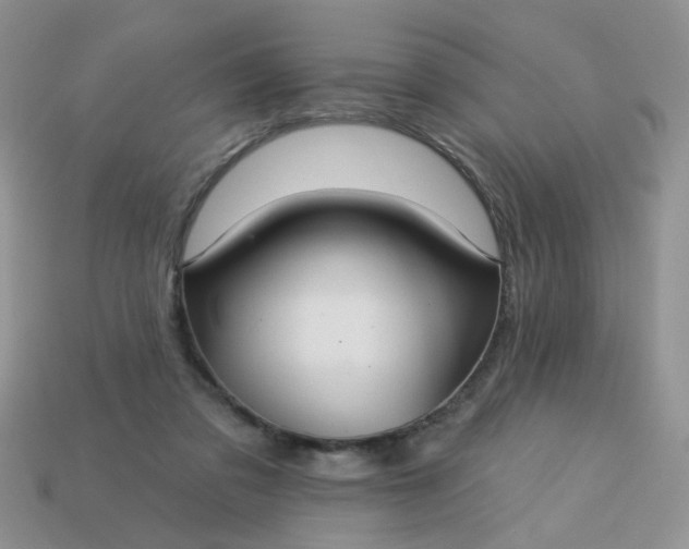 X0000113180309200909181859