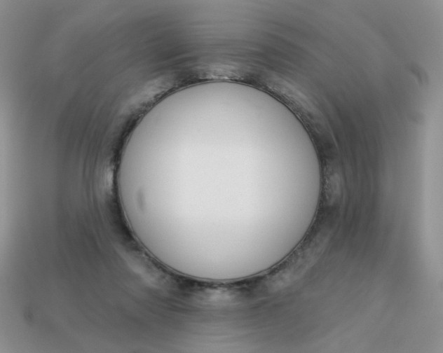 X0000113180310200909181859