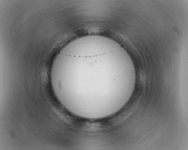 X0000113180311200909181859