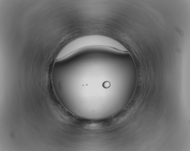 X0000113180312200909181859