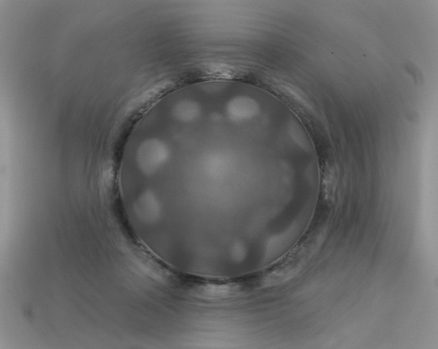 X0000113180314200909181859