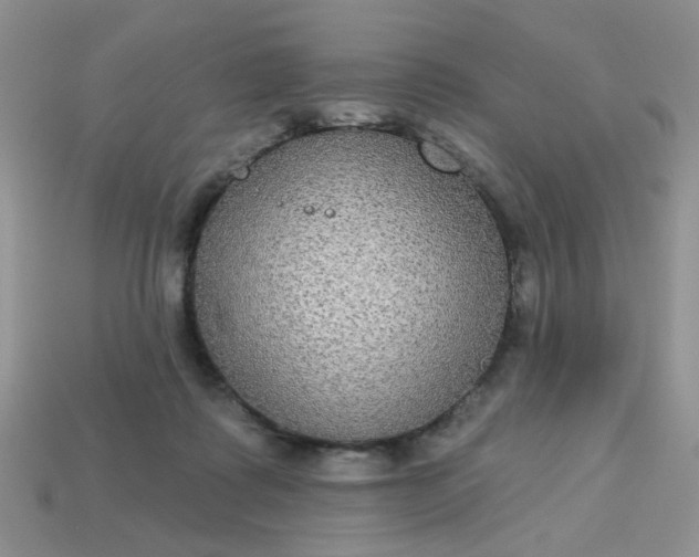 X0000113180315200909181859