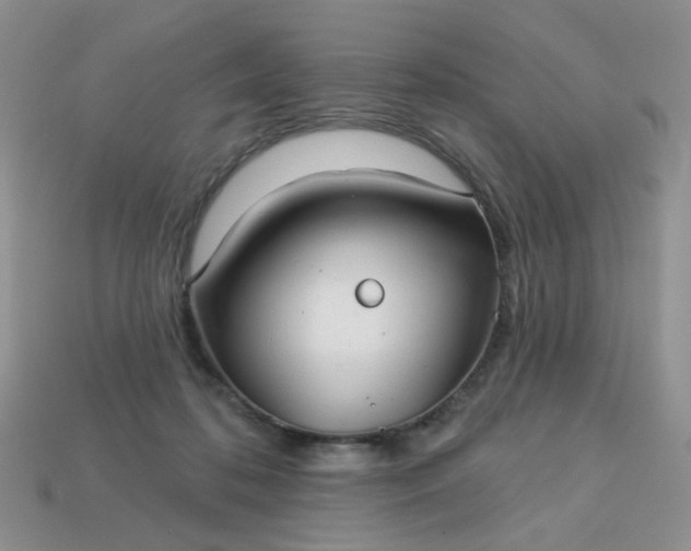 X0000113180316200909181859