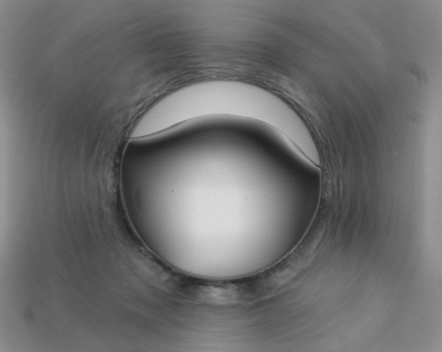 X0000113180317200909181859