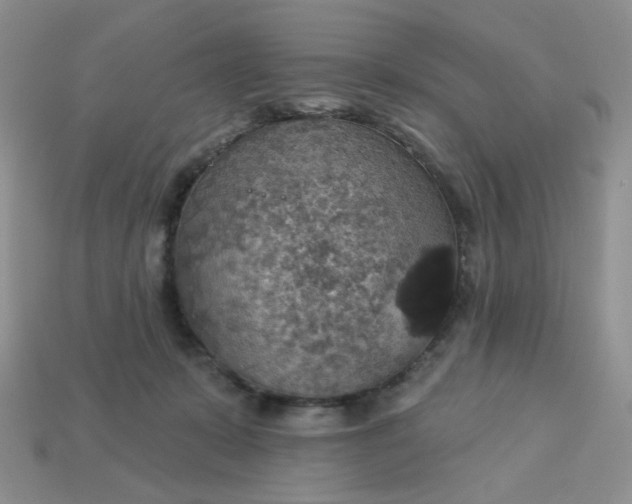 X0000113180319200909181859