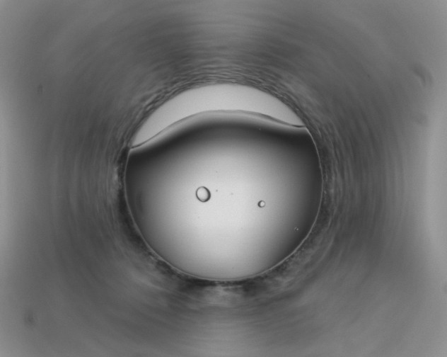 X0000113180320200909181859