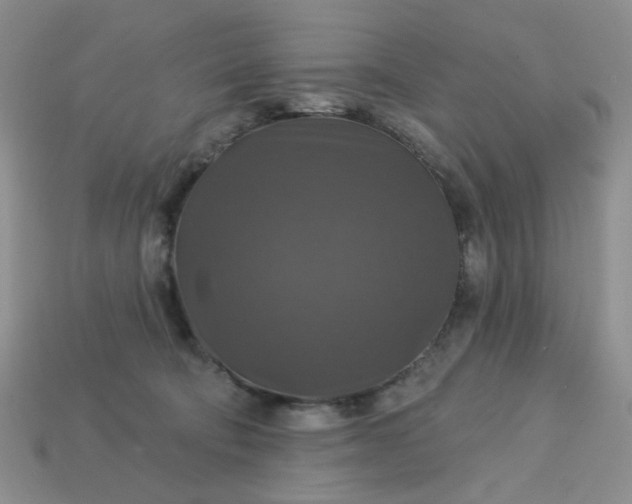 X0000113180322200909181859