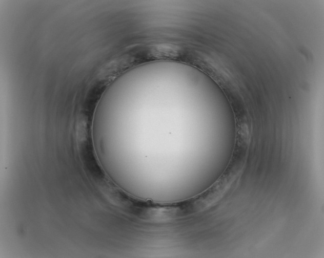 X0000113180323200909181859