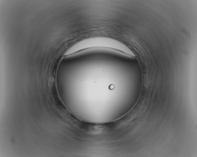 X0000113180324200909181859