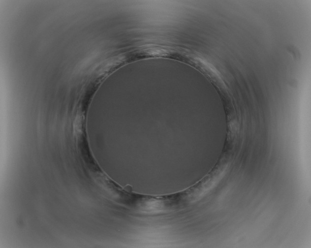 X0000113180325200909181859