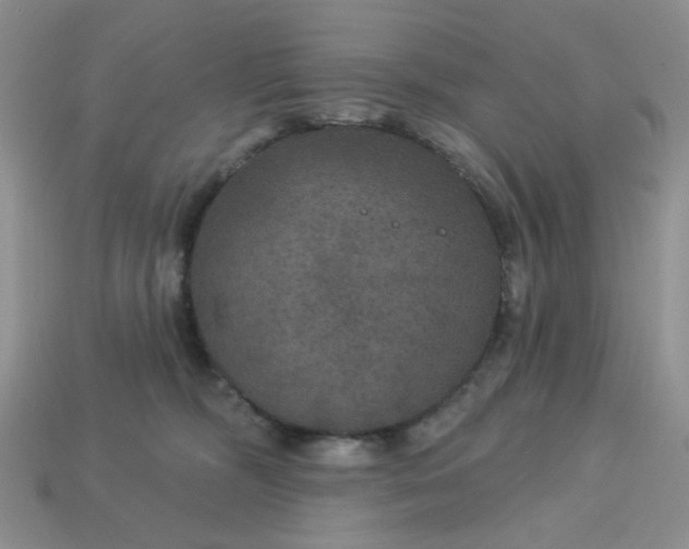 X0000113180326200909181859