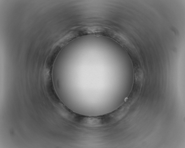 X0000113180327200909181859