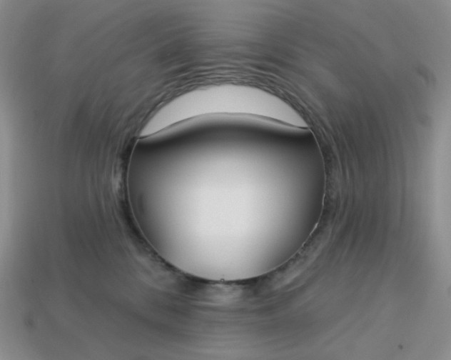 X0000113180328200909181859