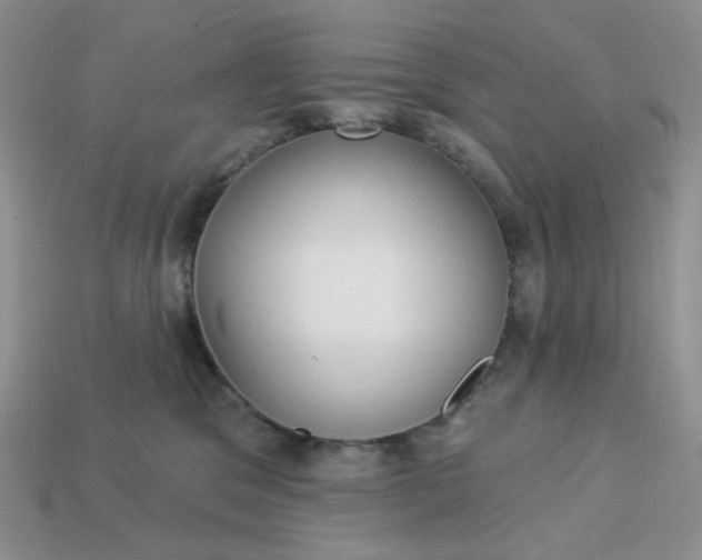 X0000113180329200909181859