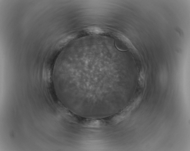 X0000113180330200909181859