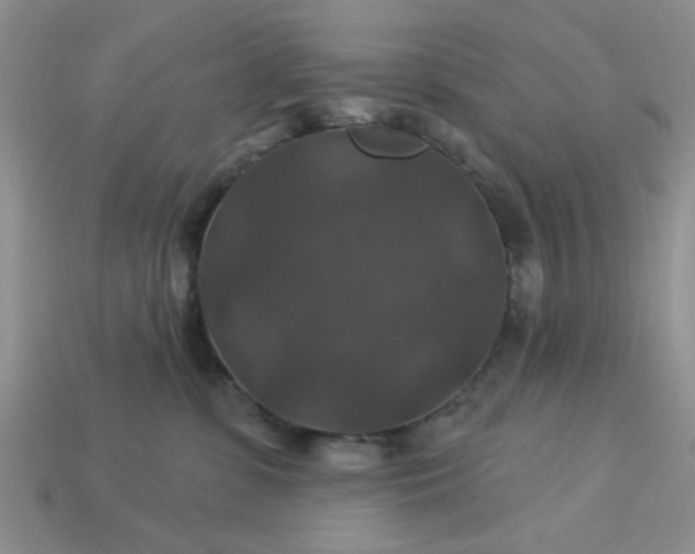 X0000113180331200909181859