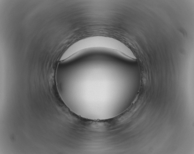 X0000113180332200909181859