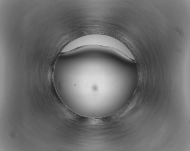 X0000113180333200909181859