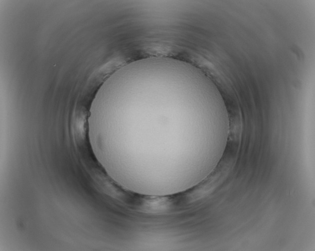 X0000113180334200909181859