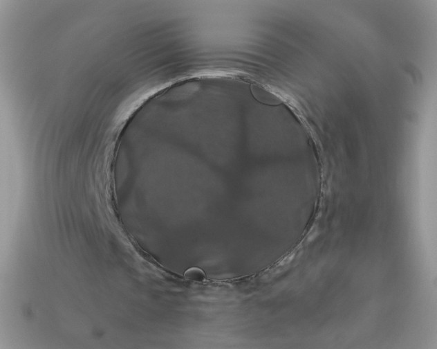 X0000113180337200909181858