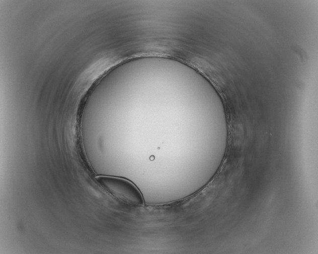 X0000113180338200909181858