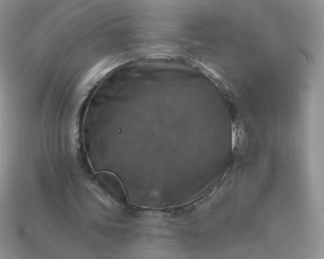 X0000113180339200909181858