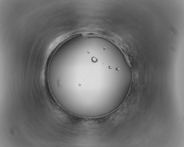 X0000113180340200909181858