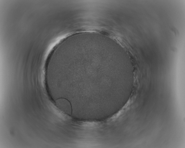 X0000113180342200909181858