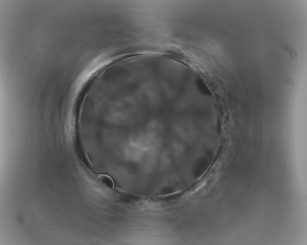 X0000113180343200909181858