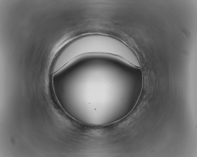 X0000113180344200909181858