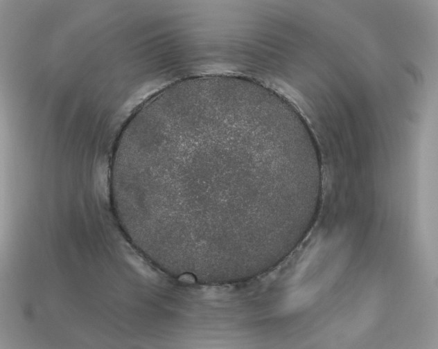 X0000113180345200909181858