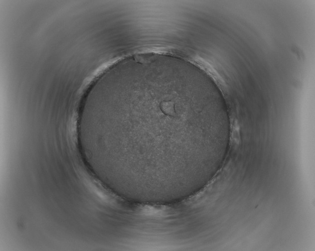 X0000113180346200909181858