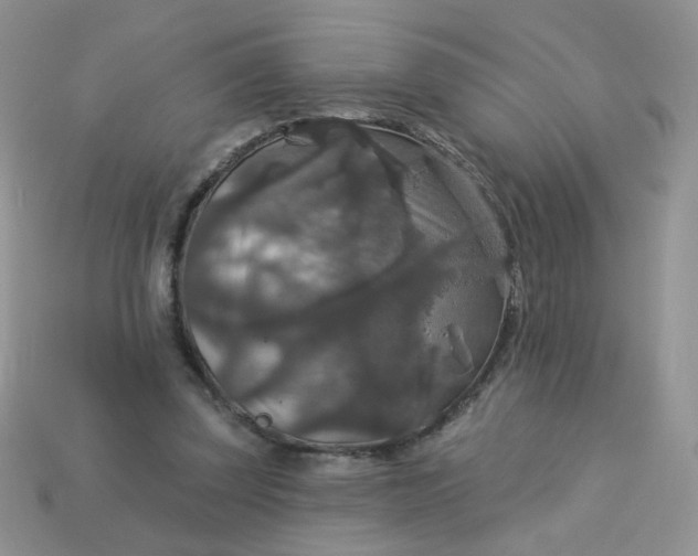 X0000113180347200909181858