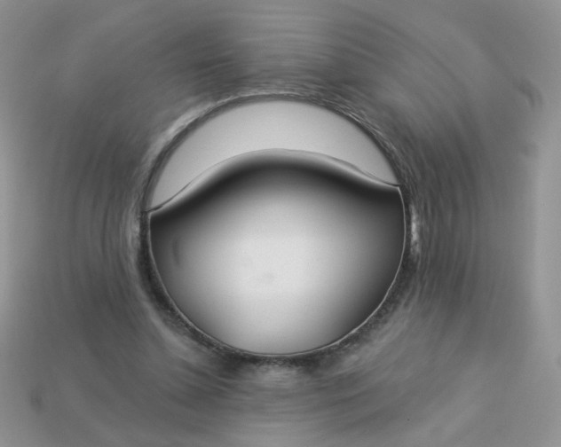 X0000113180348200909181858