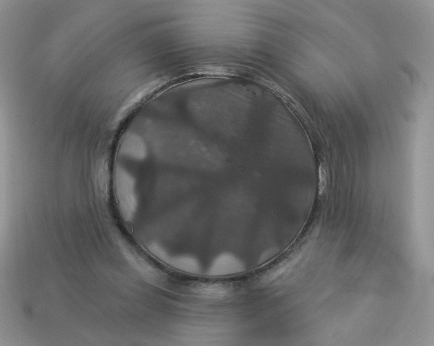 X0000113180349200909181858